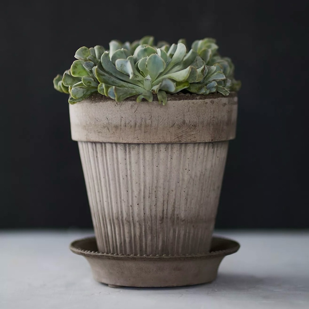 Bergs Gray 6” Simona Terracotta Planter with Saucer - Picture 2 of 7